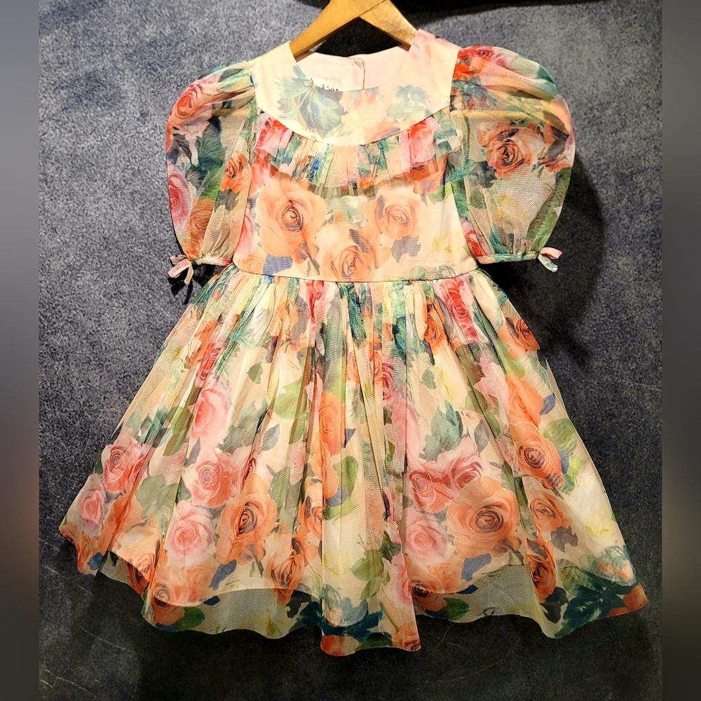 Pippa & Julie Floral Size 4 T Dress Sheer Puff Rose Floral & Tulle Double Lined